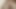 A pregnant bitch is fucked in her pink anus in front of the camera