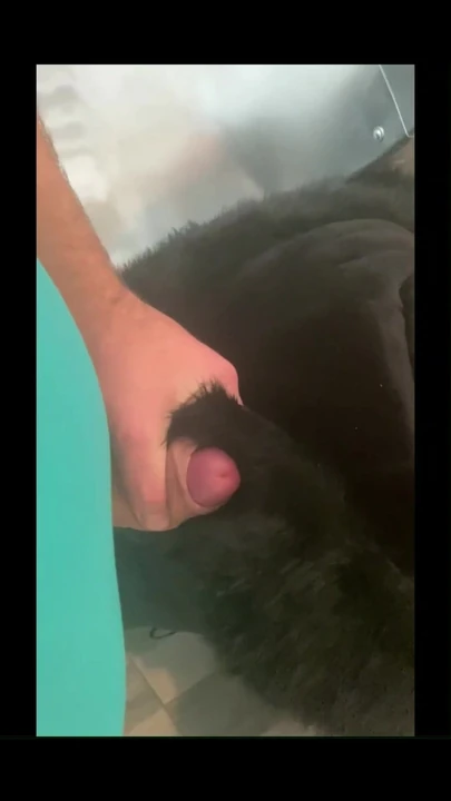 Garganta profunda em Leggins de camelo e jaqueta #amateur, #teen, #nude, #naked, #sexy, #girl, #pussy, #anal, #asshole, #tits