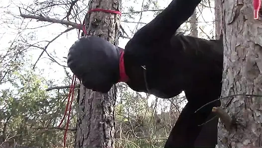 Seks di luar ruangan di hutan. Pakai baju seksi dan sepatu hak tinggi, diikat, dientot tenggorokan, dan dientot