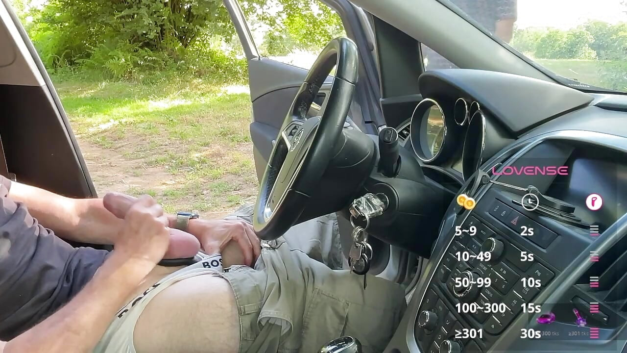 A Sunny Car Encounter