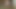 ベルベットウェブカメラ1
