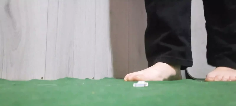 Giantess crush a Police car