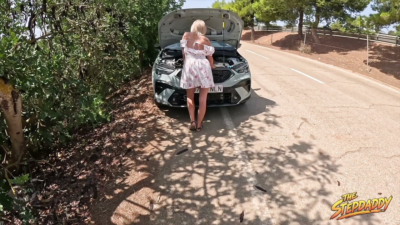 Car Repair with Wild Bunny