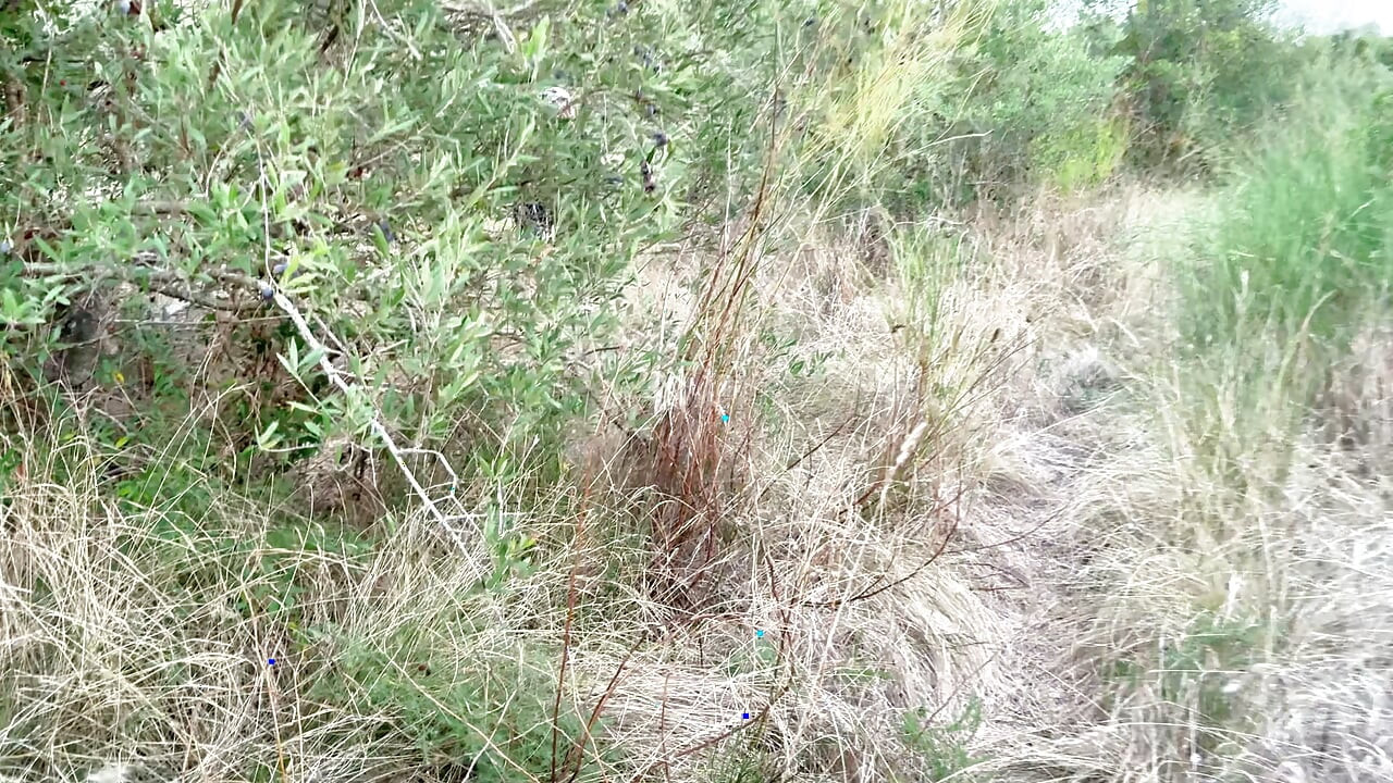 21.08 Berasmara tanpa kondom di tempat awam dan mencengkam jauh di dalam hutan