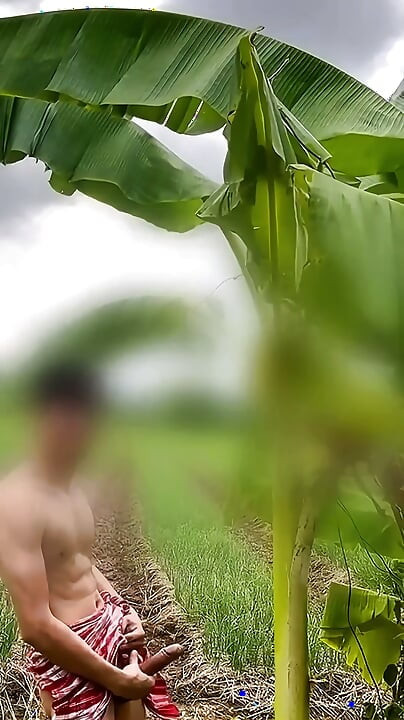 Cara tailandês fode árvore de banana