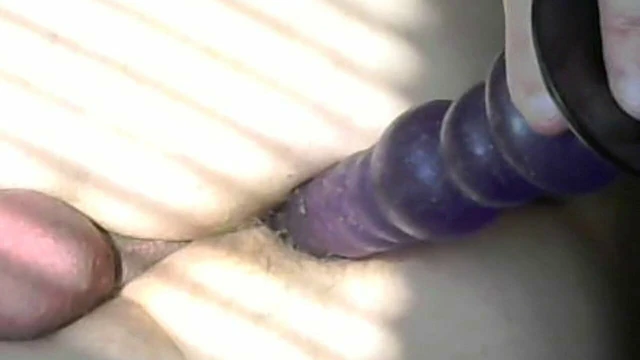 Anal toy fun