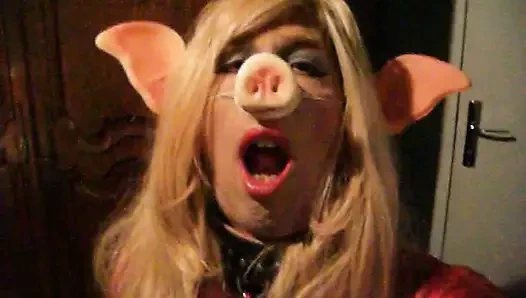 Virginia the PIG