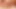 Two huge delicious cocks