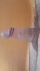 Polla