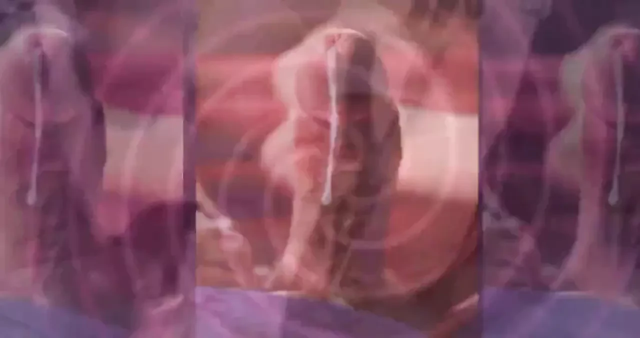 cocksucker
