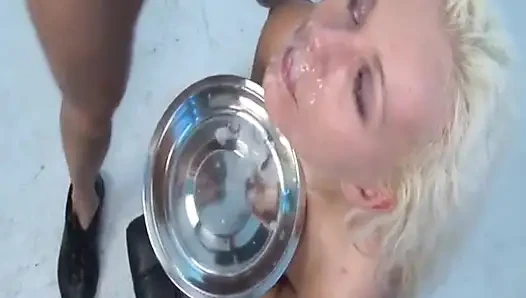 Geile Schlampen, Wilde Gangbang-orgie