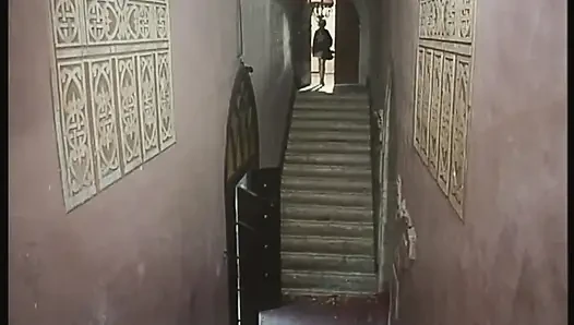 Петухи никогда не подводят