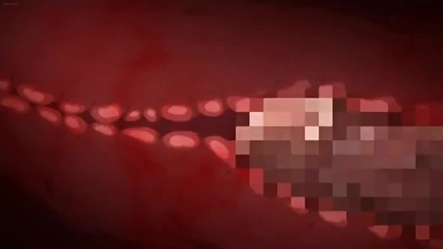 Clip from Muttsuri do Sukebe