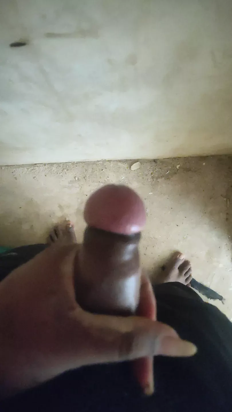 Tamil boy sunny lalipa