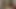 頭に紙袋をはめられたキャンディ・ヒル
