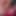 Orta yaşlı seksi kadın tuhaf seksi seviyor