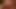 transgenre shemale dildo  lingerie 1