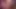 trans cumming with a vibrator for you and eating your cum