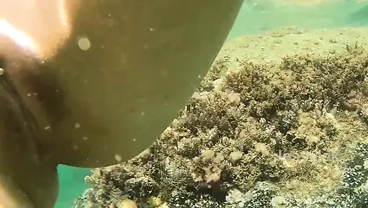 Сумасшедший секс под водой, отличный анальный кримпай в воде Jessijek