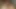 Husband Wife Sex Videos