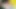 Masturbation Video #70