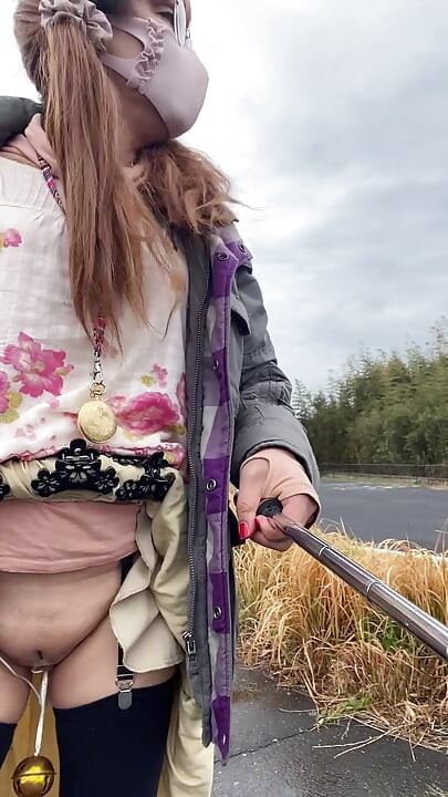 No166 Tuck and quiet cherry blossom viewing time