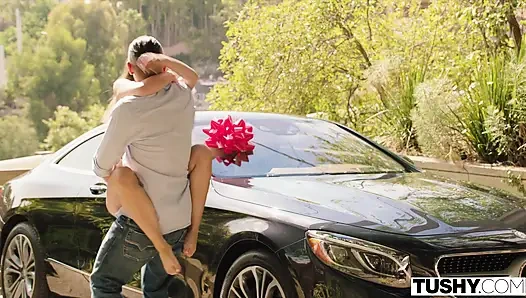 Tushy anal ilk kez cilt 4 derlemesi