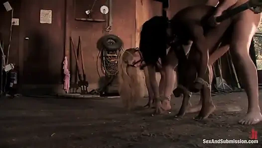 El Rancho