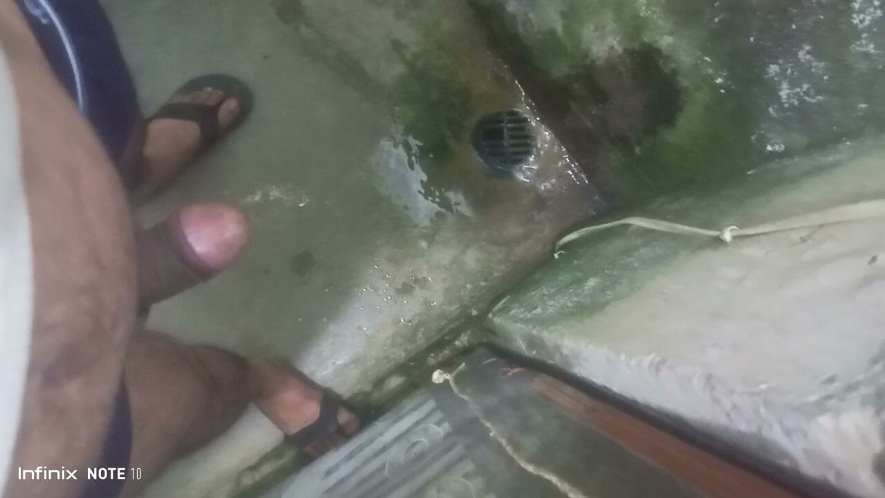 Toilet karte hai pissy