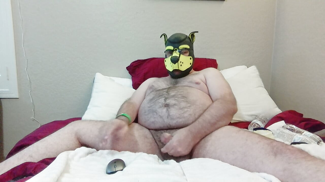 I was bored and horny so slipped into pup mode and played with the bone