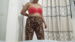 Pregled videozapisa