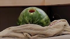 Abuelo follando su melón una última vez, viendo porno