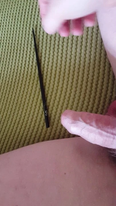 Penis Insertion
