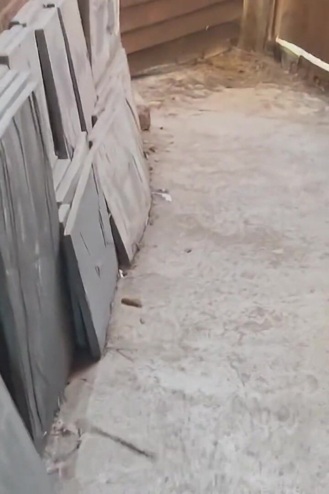 Jendela Terbuka Saat Sendirian Di Rumah