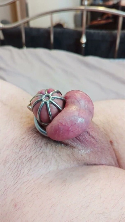 Gerçek Orgazm Yasaklandı!! Bekaret Kafesinde Viagra - köle meydan okuması (Elleri Serbest Boşalma) | Bölüm 1