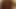 Sucking BBC from grindr 2