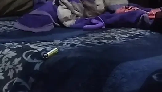 Mi çikolatayı kırbaçlıyor
