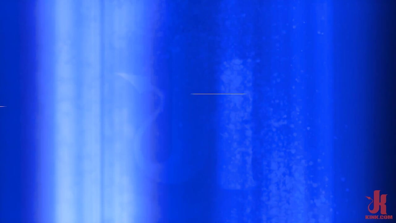 Pet Playtime with Vander Pulaski