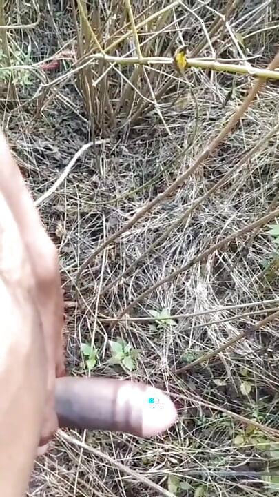 叢林中的戶外射精合輯