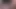 sensual blowjob POV