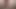 الملاك الآسيوي 25281