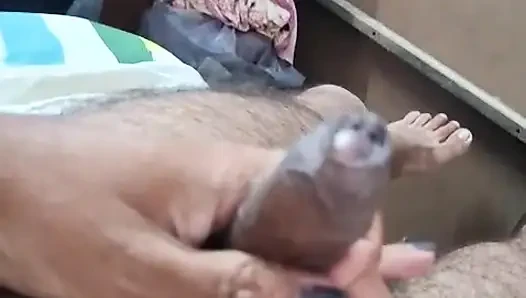 Kıllı yarak halkaları... Amcığın için ücretsiz gösteri..