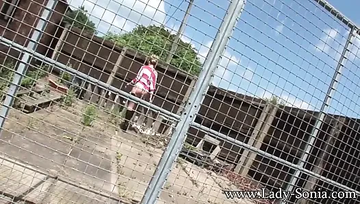 Golden Rain in the Summer