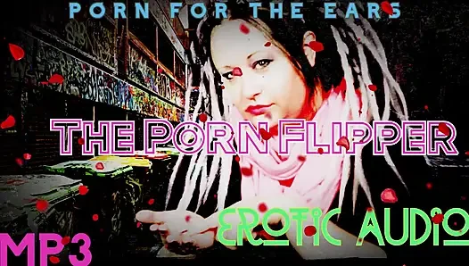 NUR AUDIO - Der porno-flipper