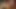 リリ