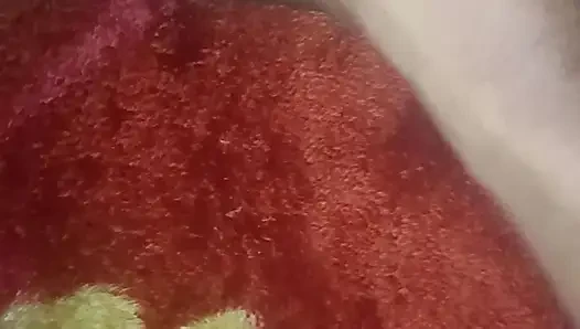 Jilat memek baru dan nyepong kontol istriku