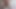 ミラ・ナトゥルセクトミラ