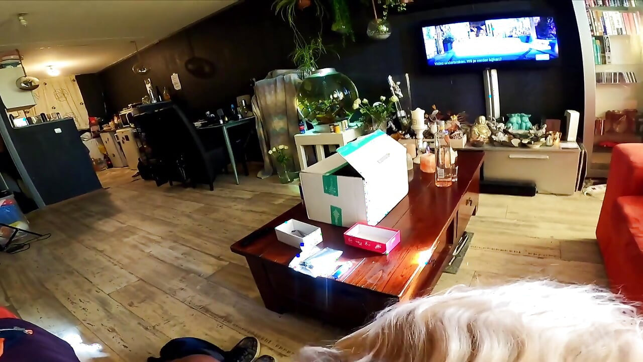 흑인 대물 자지와 섹스하는 흑인 대물