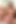Young cuties Elsa Jean and Jojo Kiss swap some cum
