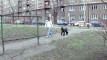 Pregled videozapisa